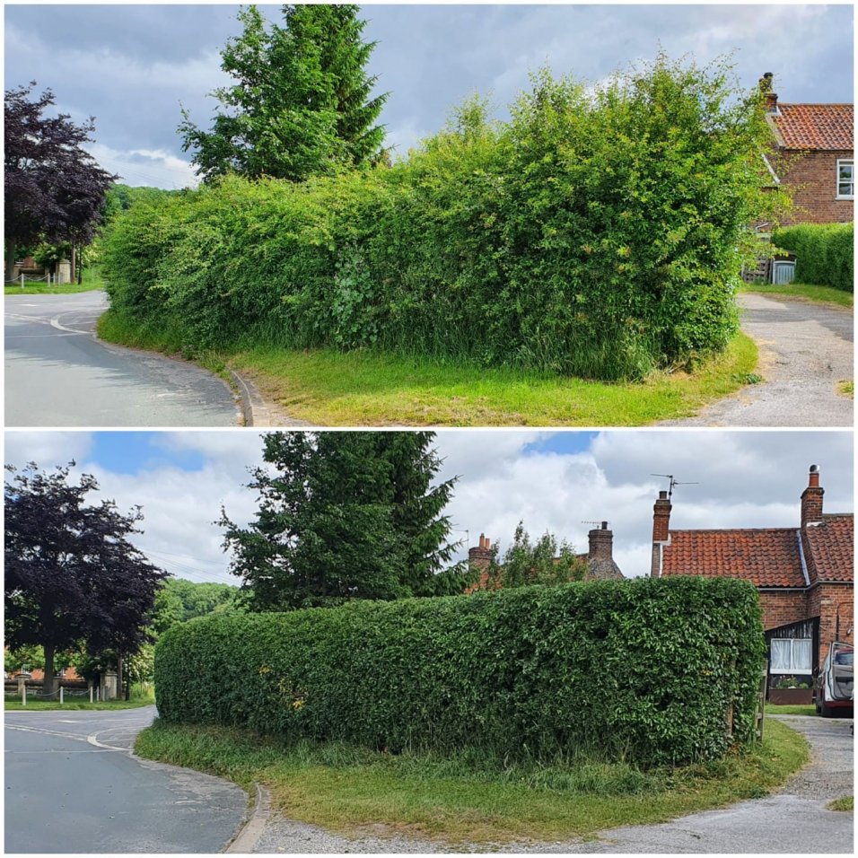 Hedge cutting services a little about Merseyside Turfing Co